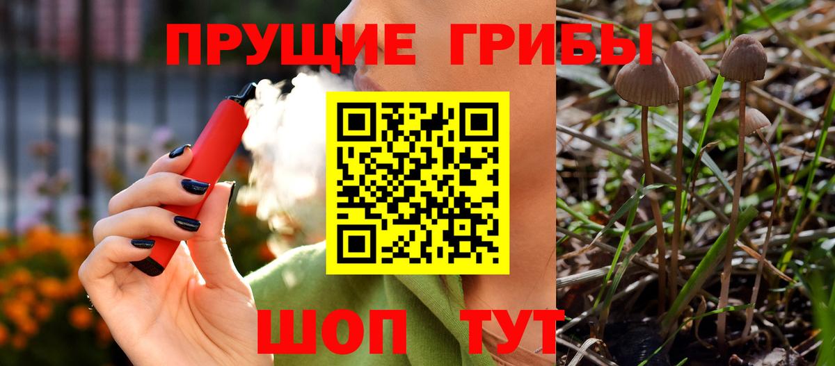 Псилоцибиновые грибы мицелий Гурьевск
