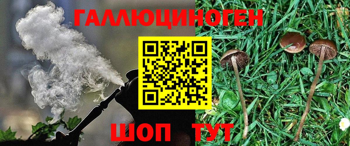Гурьевск  Галлюциногенные грибы Psilocybine cubensis  Вход с VPN 